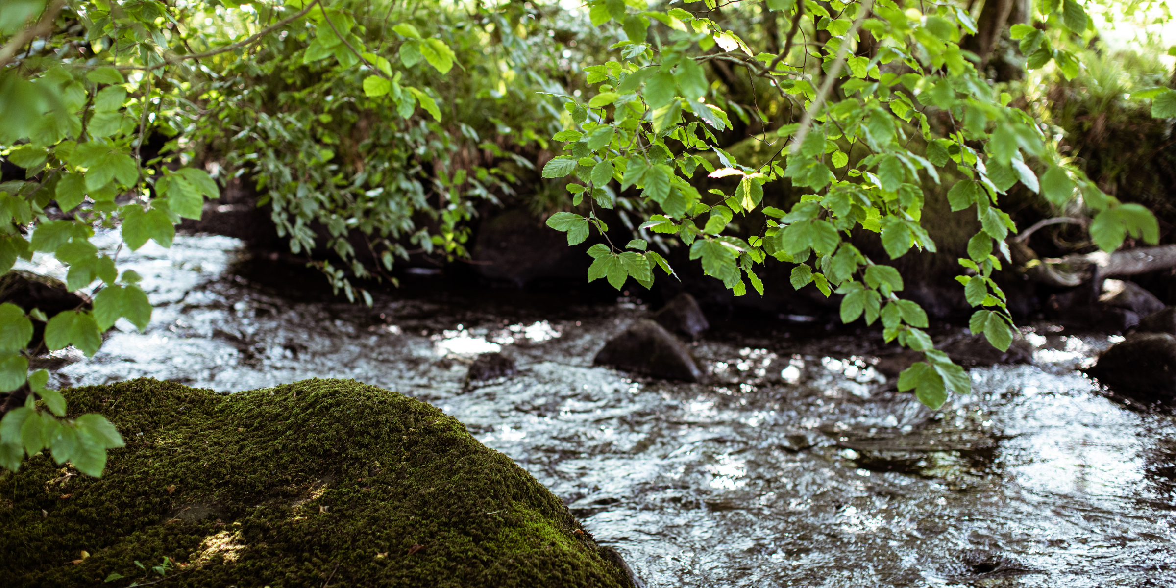 An Carn Water Stream