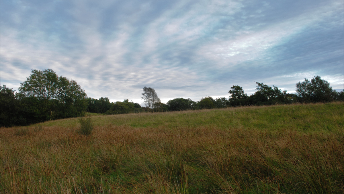 An Carn Sperrins Distillery About Us